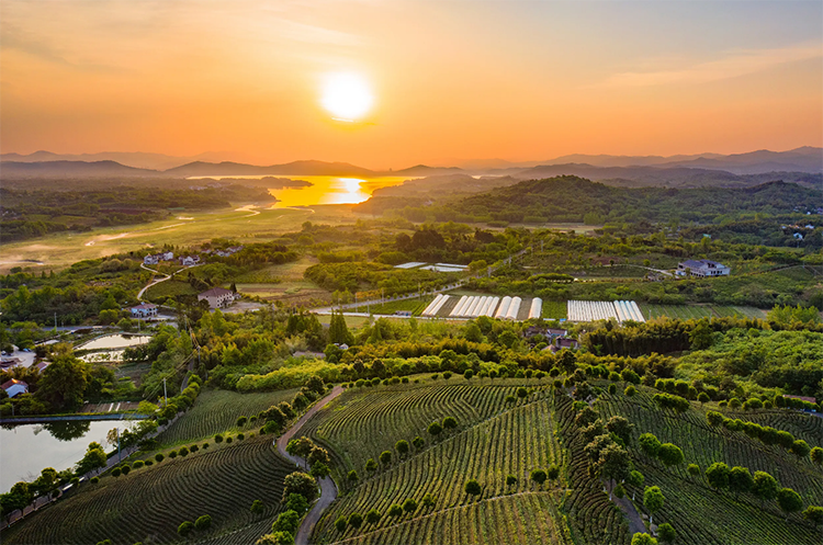 江蘇省省長許昆林現場督辦中央生態環保督察通報典型案例整改工作 以最嚴態度最快速度最大力度狠抓整改
