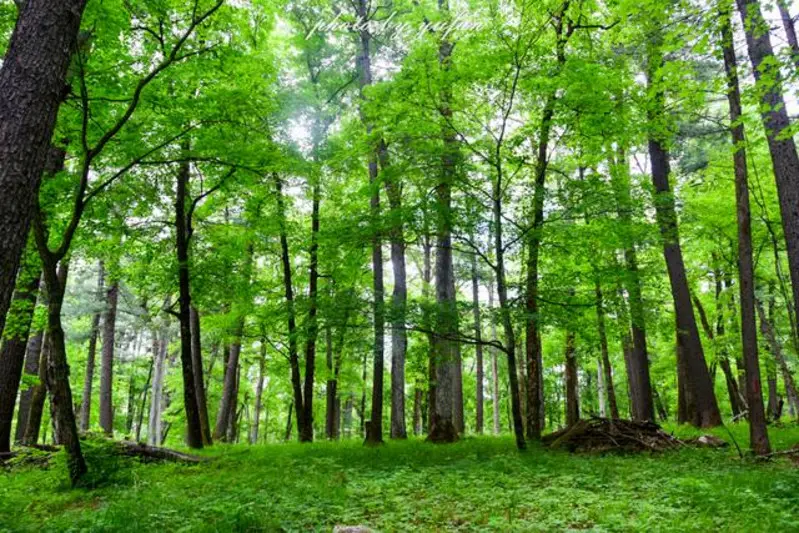 生態環境部黨組舉行理論學習中心組集體學習